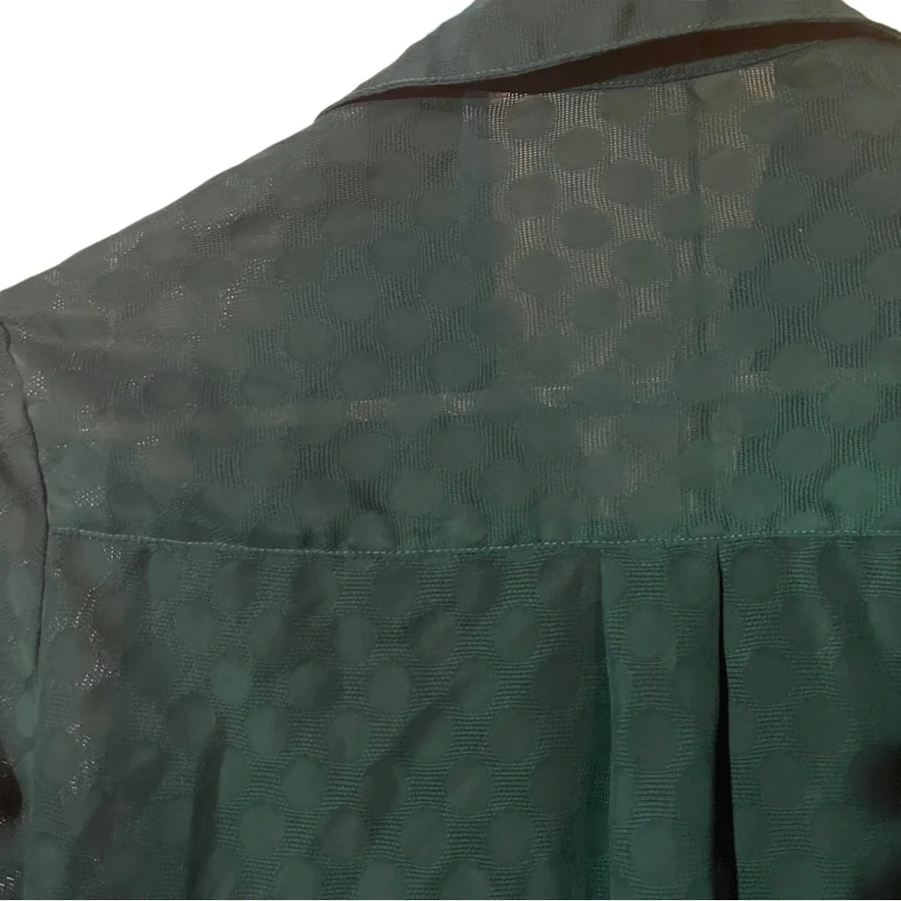 Express Portofino Button Down Polka Dot Green Sheer Collared V Neck Blouse Shirt - Picture 6 of 6